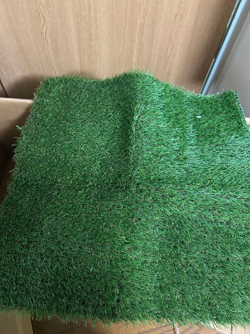 さやさま専用　180cm リアルクリスマスツリー 松ぼっくり付き