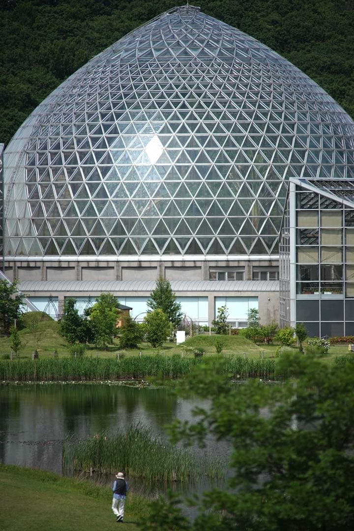 作例付き　Carl Zeiss TELE TESSAR 200mm F3.5