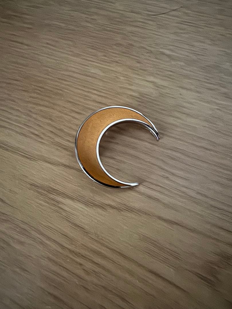 小物 SUNSEA 30th PINZ