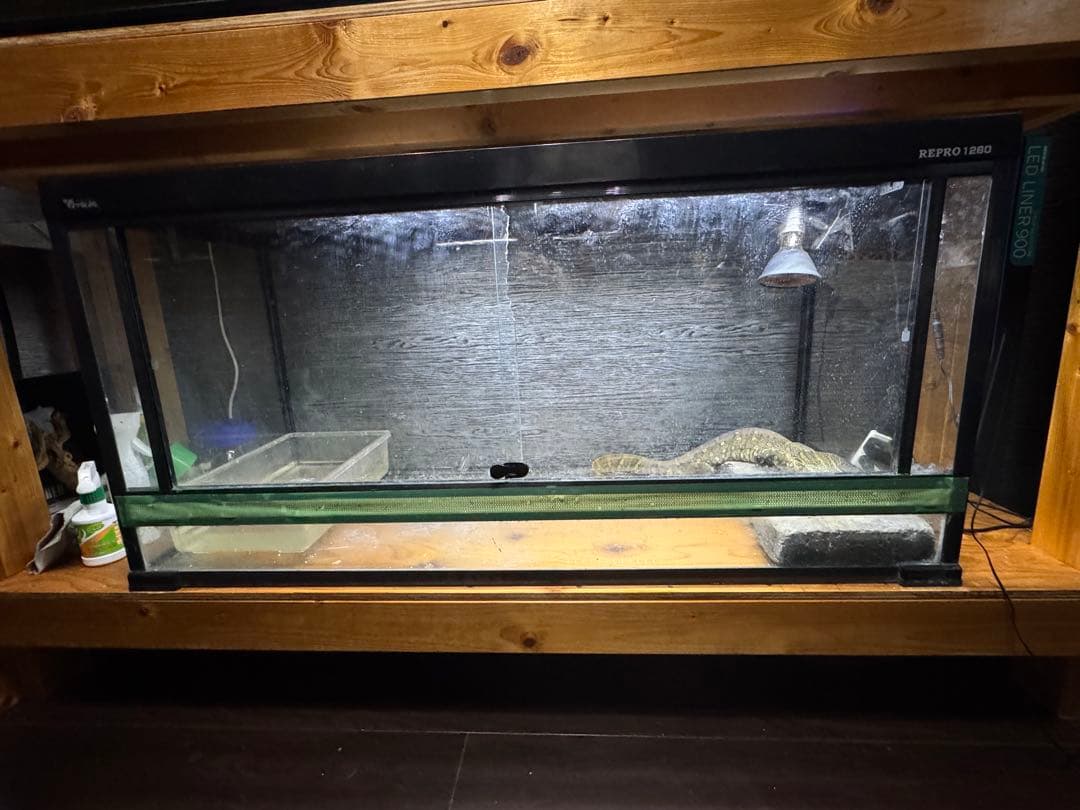 REPRO 1260 飼育ケージセット　ガラス製