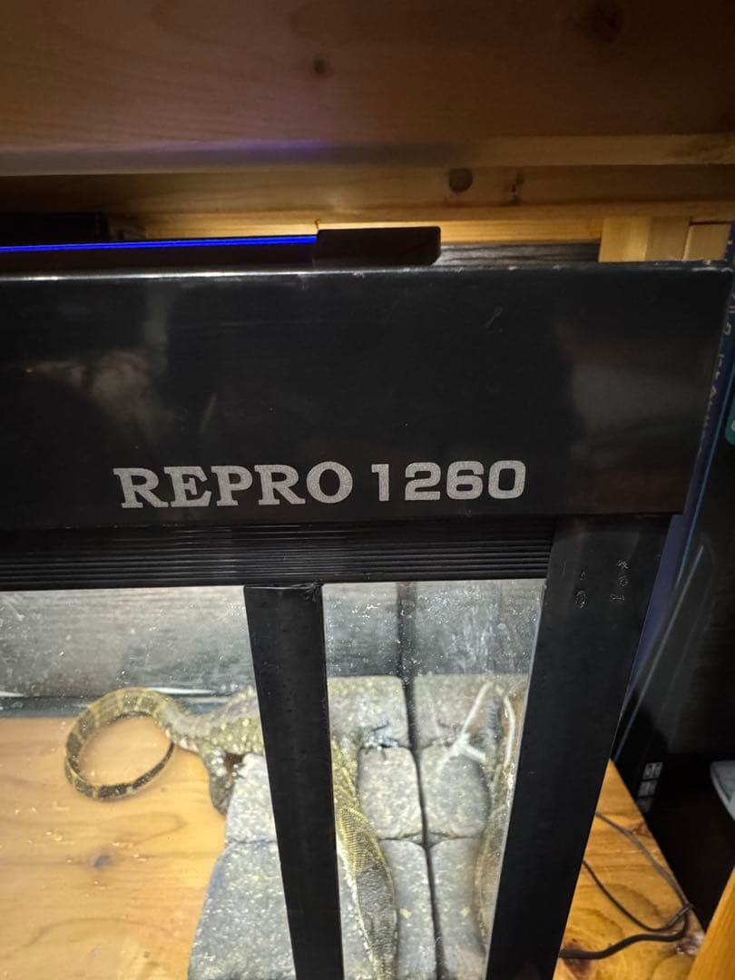 REPRO 1260 飼育ケージセット　ガラス製