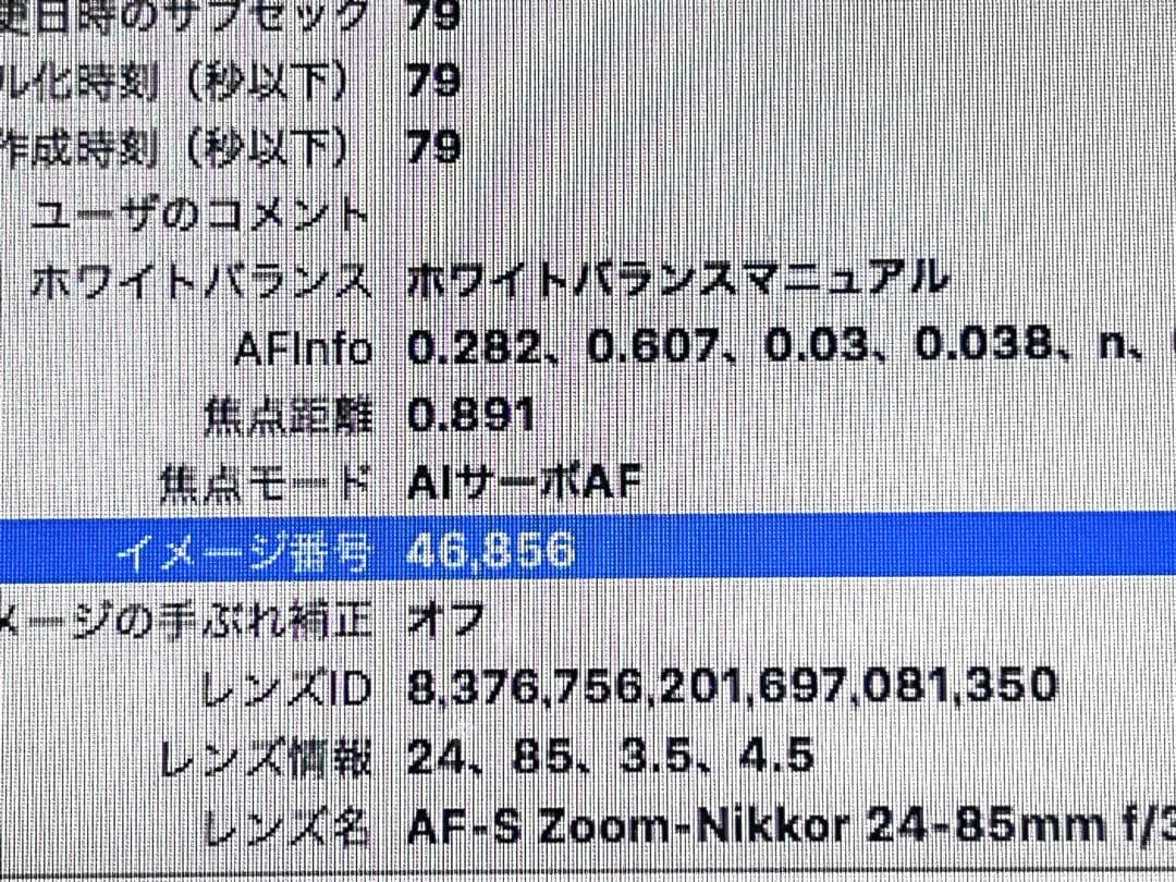 Nikon D4S デジタル一眼レフカメラ シャッター回数47000回
