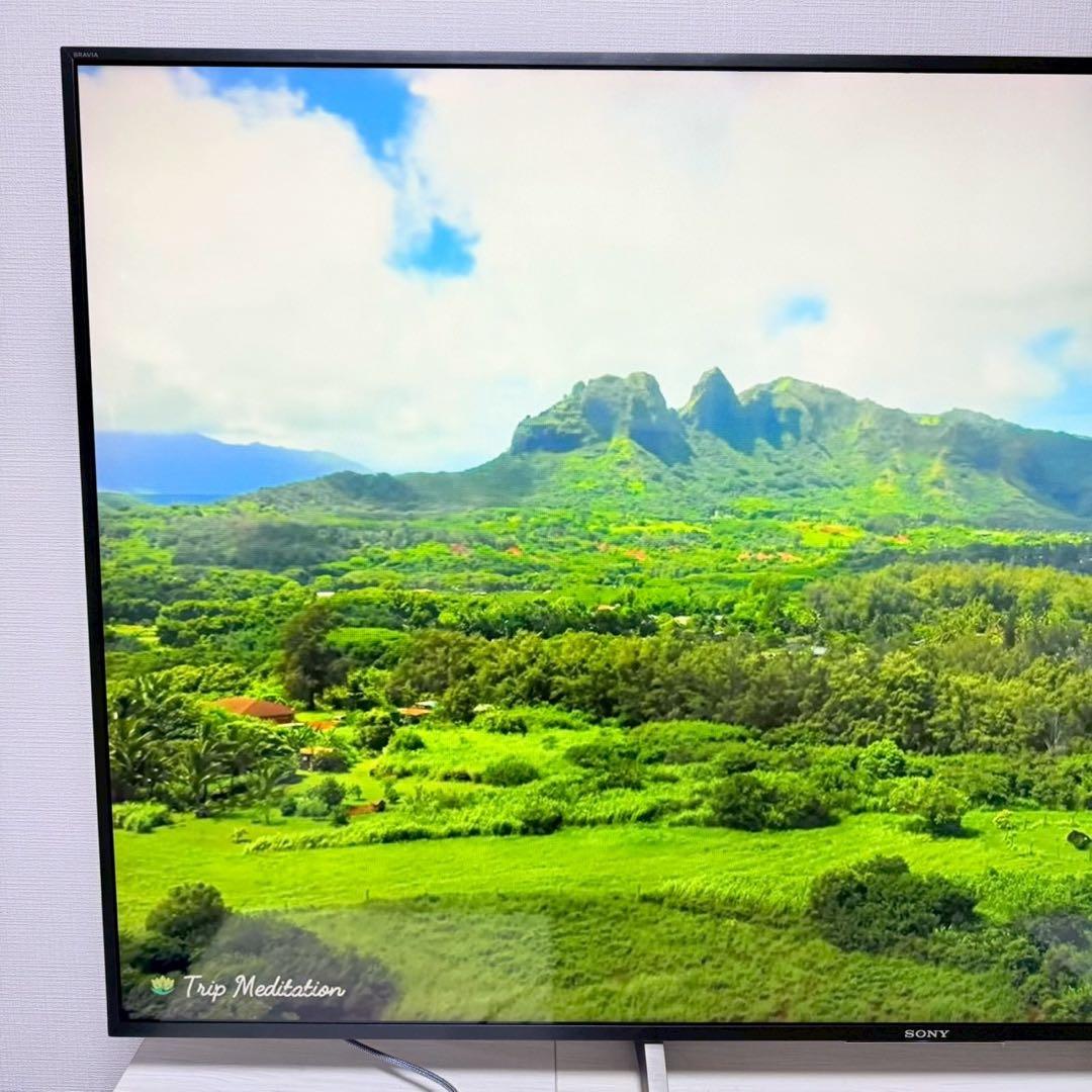 SONY BRAVIA 65インチ KJ-65X8500E 分解洗浄済み