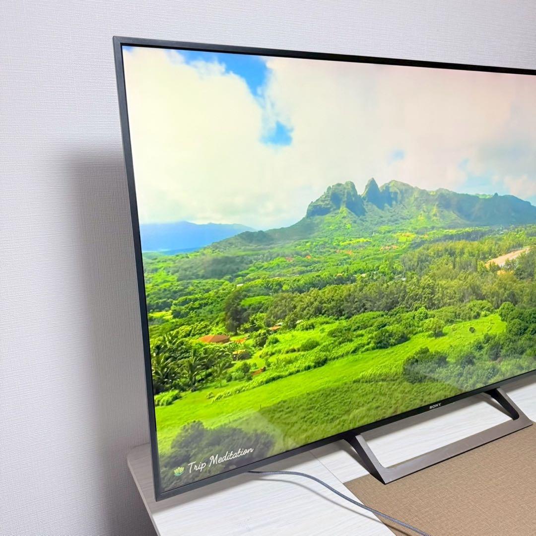 SONY BRAVIA 65インチ KJ-65X8500E 分解洗浄済み