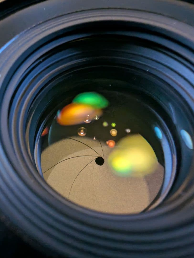 SIGMA 65mm F2 DG DN レンズ