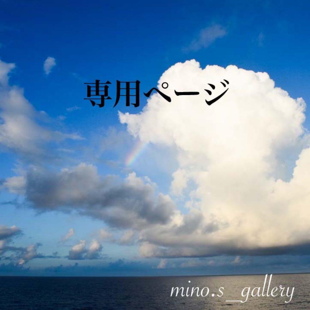 【専用】アマゾナイト　skygray様