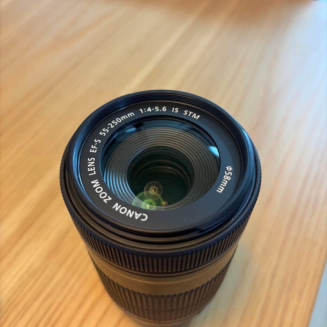 Canon レンズ EFS 55-250mm 0.85m/2.8ft
