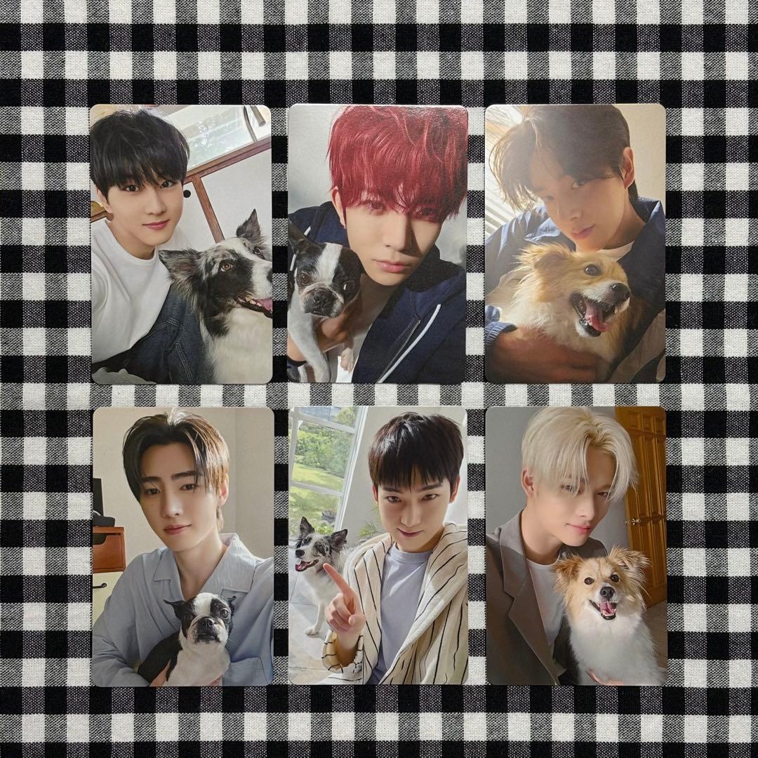 ENHYPEN FC 会報 2025 アンケート トレカ 6枚セット