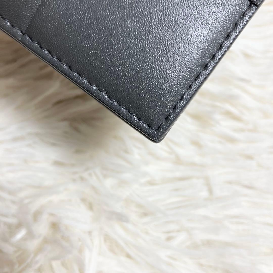 【極美品】ボッテガヴェネタ マネークリップ カセット