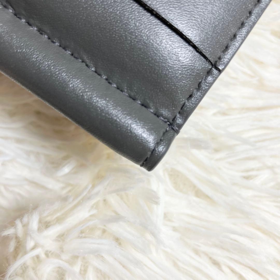 【極美品】ボッテガヴェネタ マネークリップ カセット