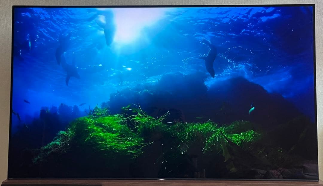 テレビ SONY BRAVIA A1 KJ-65A1