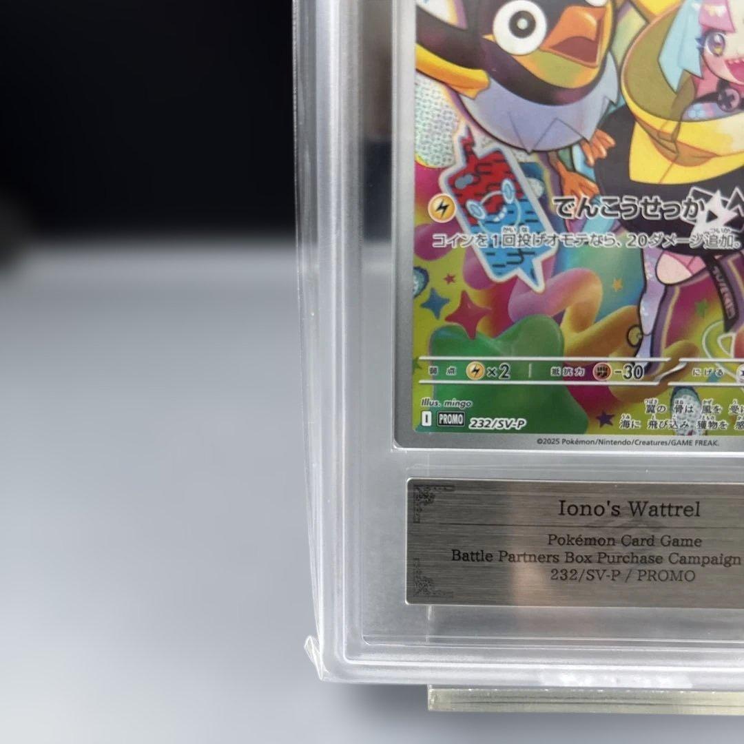 【ARS10+】ナンジャモのカイデン プロモ 鑑定書付