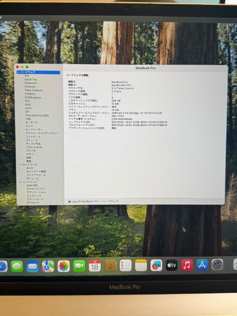 MacBook本体 MacBook Pro Intel /i9/16GB/1TB