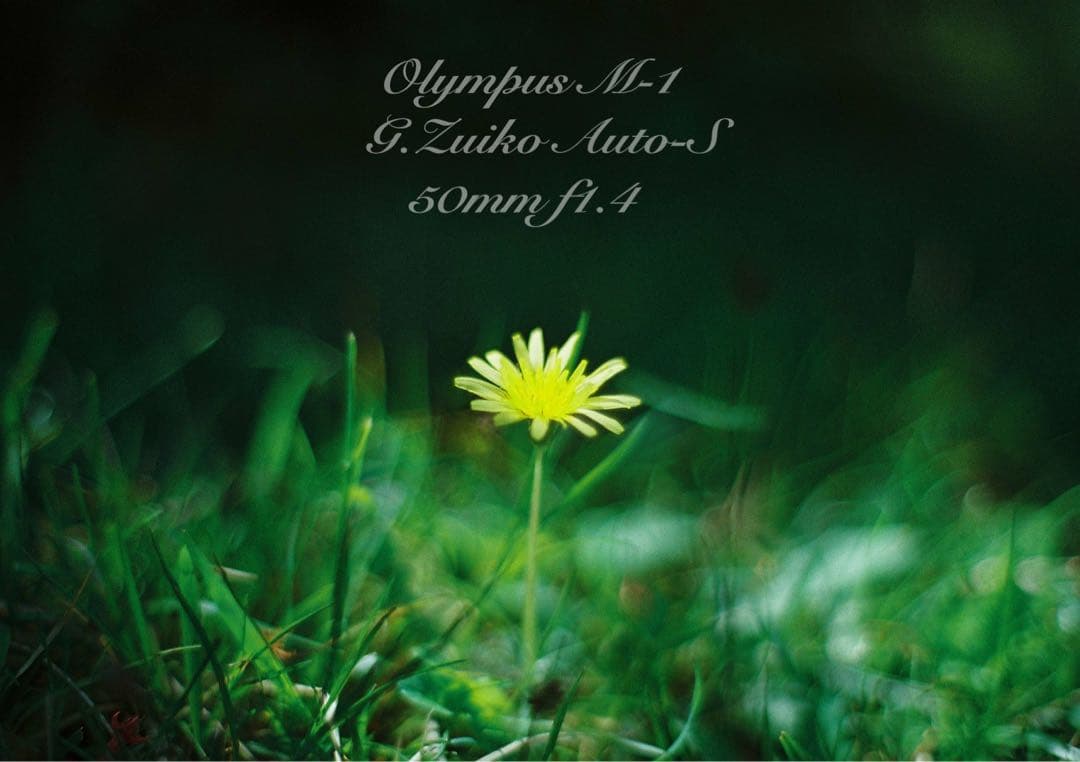 超希少！完動・美品　olympus m-1 &m-system F1.4