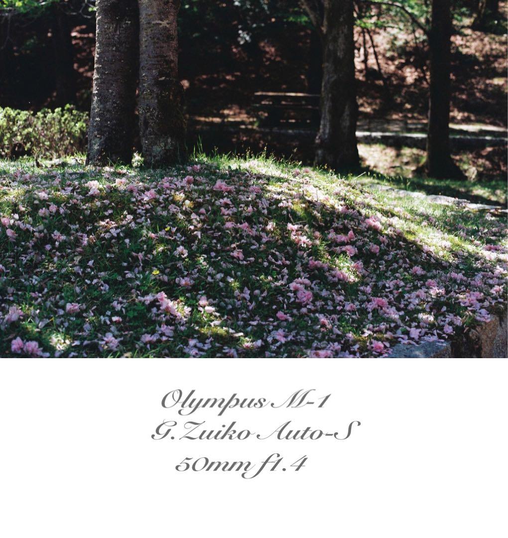 超希少！完動・美品　olympus m-1 &m-system F1.4