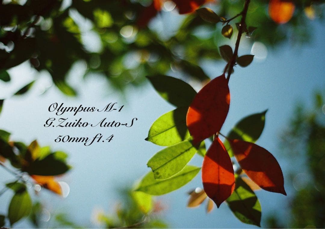 超希少！完動・美品　olympus m-1 &m-system F1.4