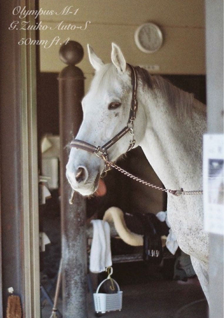 超希少！完動・美品　olympus m-1 &m-system F1.4