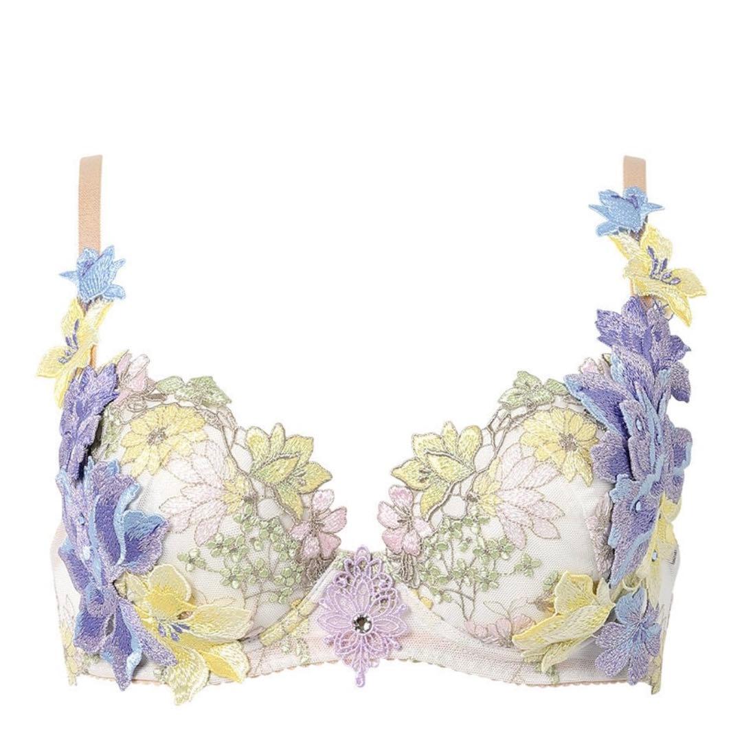 【新品】サルート25g 限定復刻デザイン ブラジャー&ショーツ IV E65