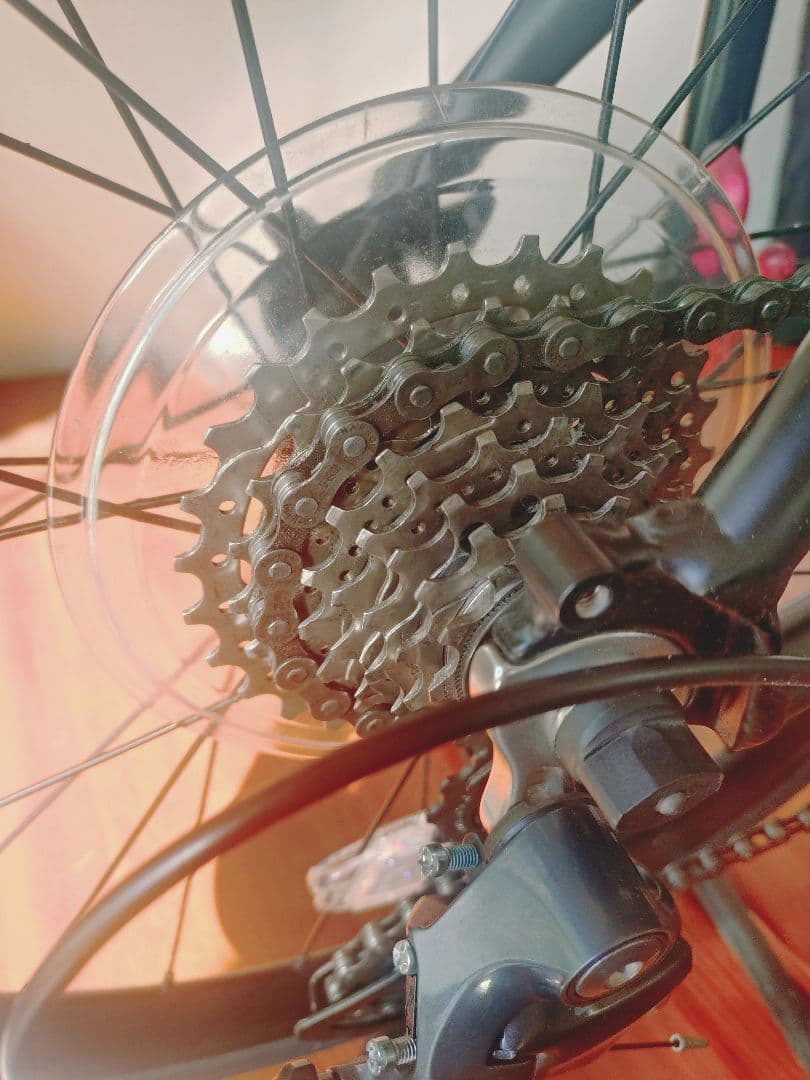 tern Surge マッドブラック　47size　2023年モデル