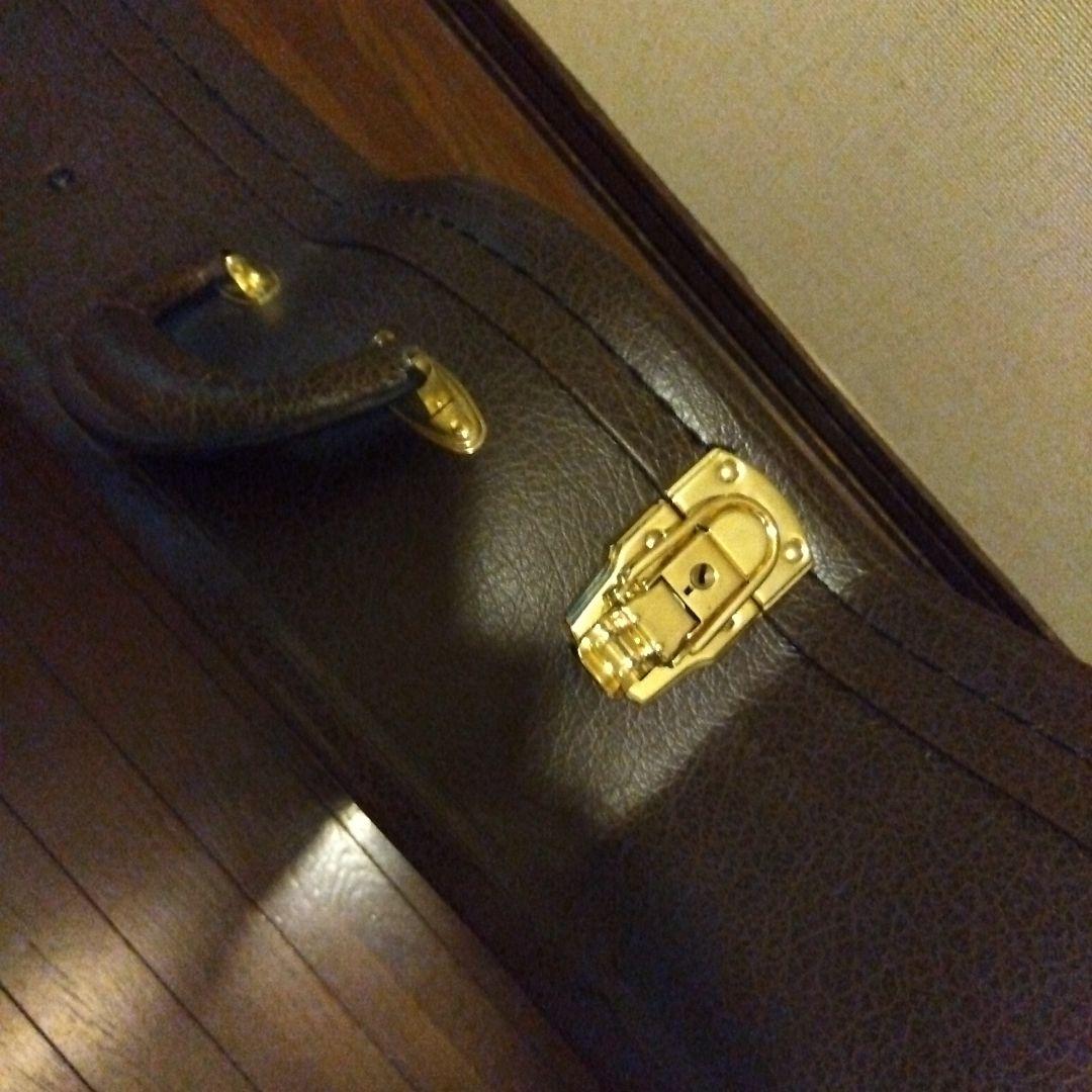 スタッフォード 　エレアコ　タカミネハードケース付き