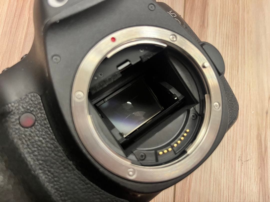 eos 6d(レンズ ef50mm STMが必要な方は購入前に言ってください)