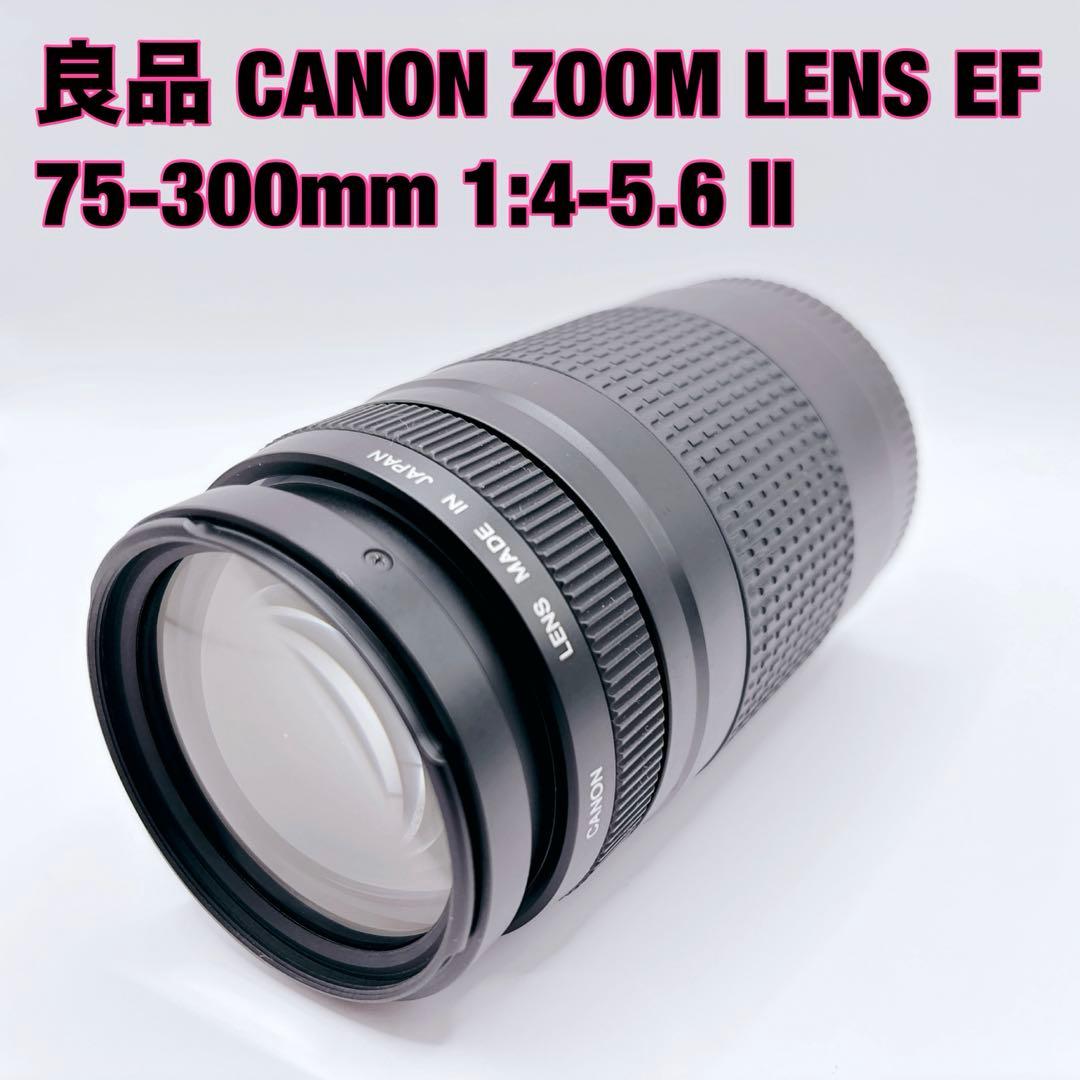 良品 CANON ZOOM LENS EF 75-300mm 1:4-5.6 Ⅱ