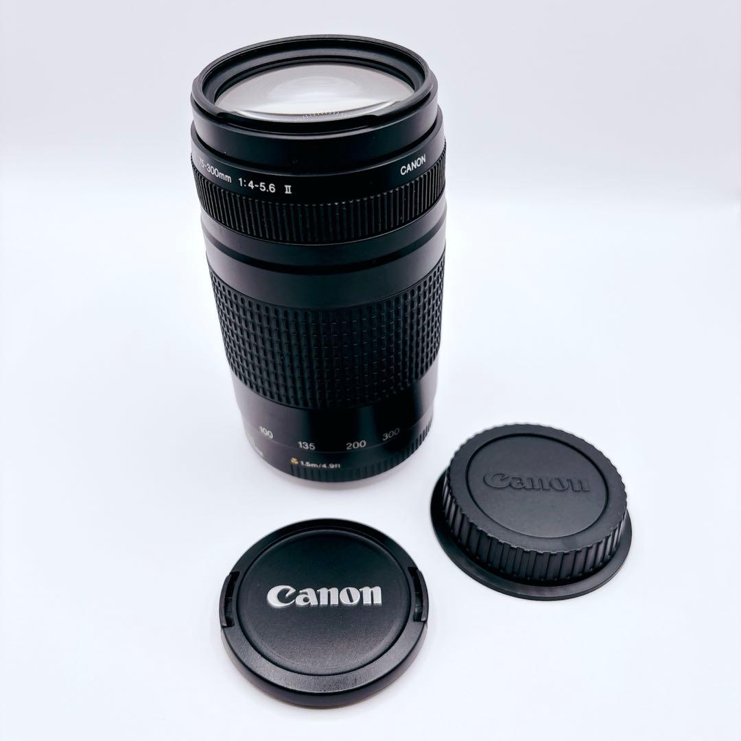 良品 CANON ZOOM LENS EF 75-300mm 1:4-5.6 Ⅱ