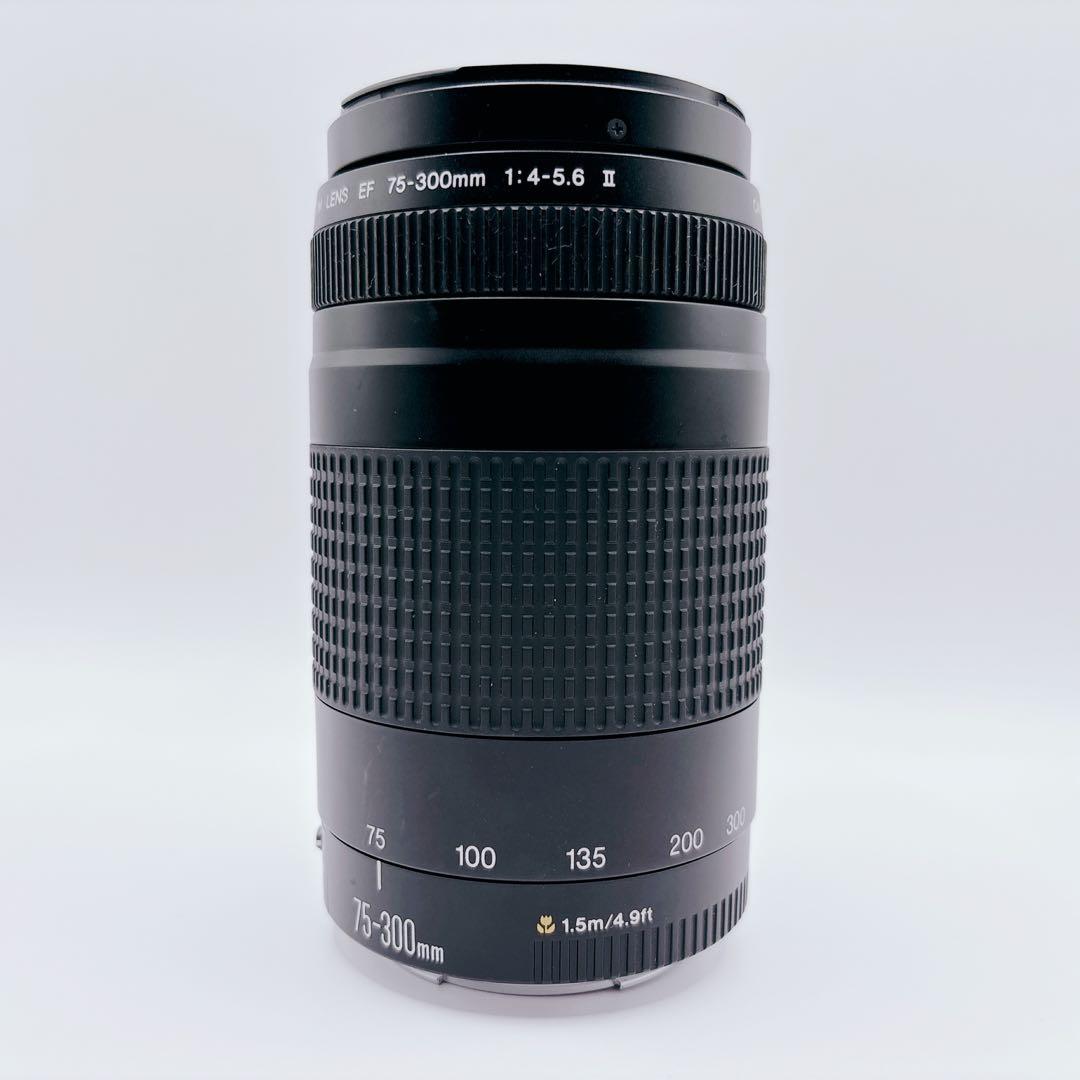 良品 CANON ZOOM LENS EF 75-300mm 1:4-5.6 Ⅱ
