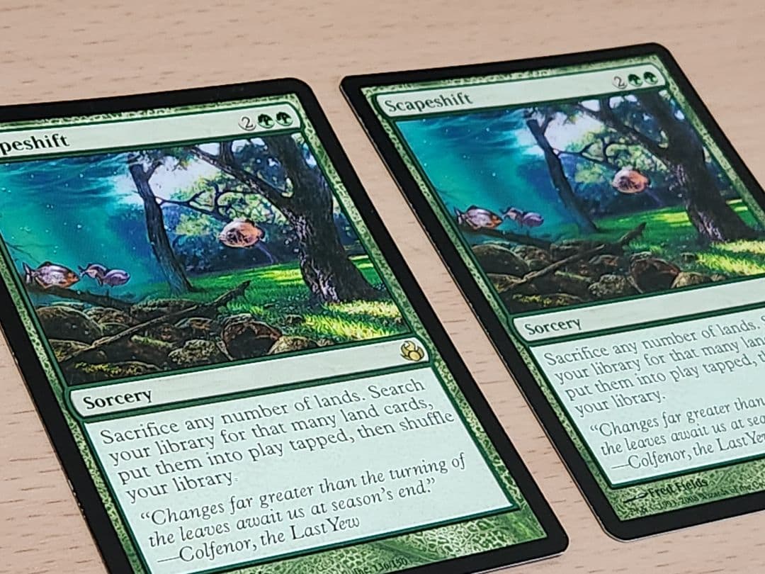 風景の変容　英語版　2枚