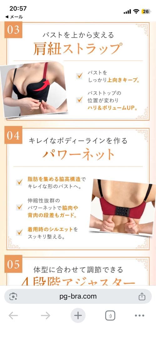 PGブラ ノンワイヤー ブラック2枚セット