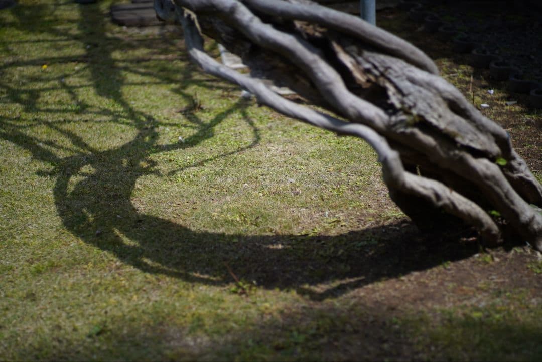 【分解清掃済】Nikon NIKKOR-H.C Auto 85mm f1.8