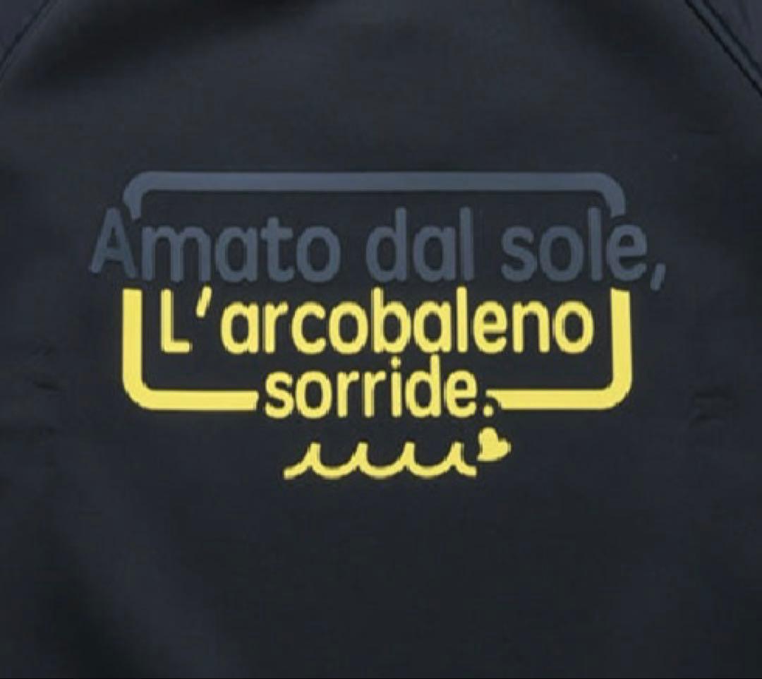 【モリヤさま専用】