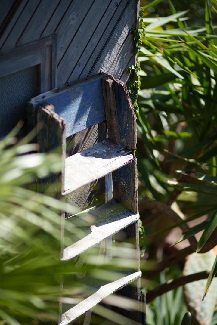 貴重な絶版マクロ！Zeiss Makro-Planar 100mm f2 ZF