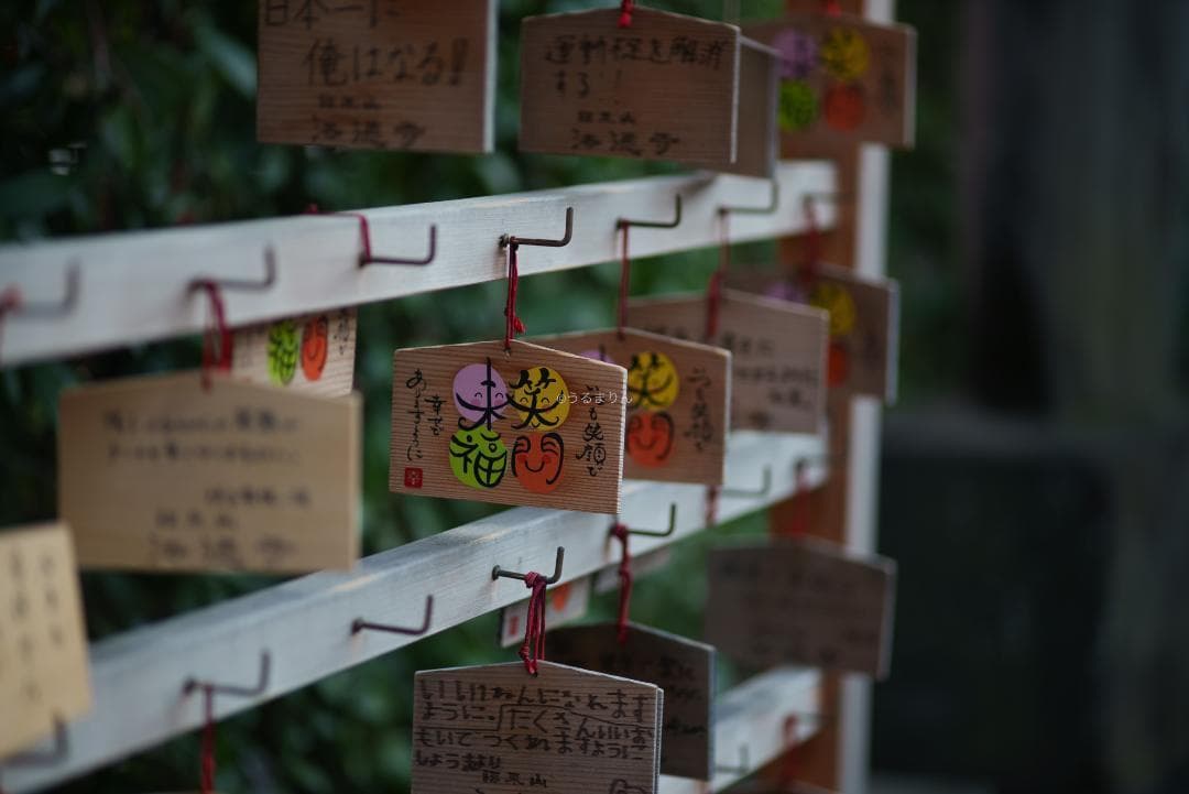 貴重な絶版マクロ！Zeiss Makro-Planar 100mm f2 ZF