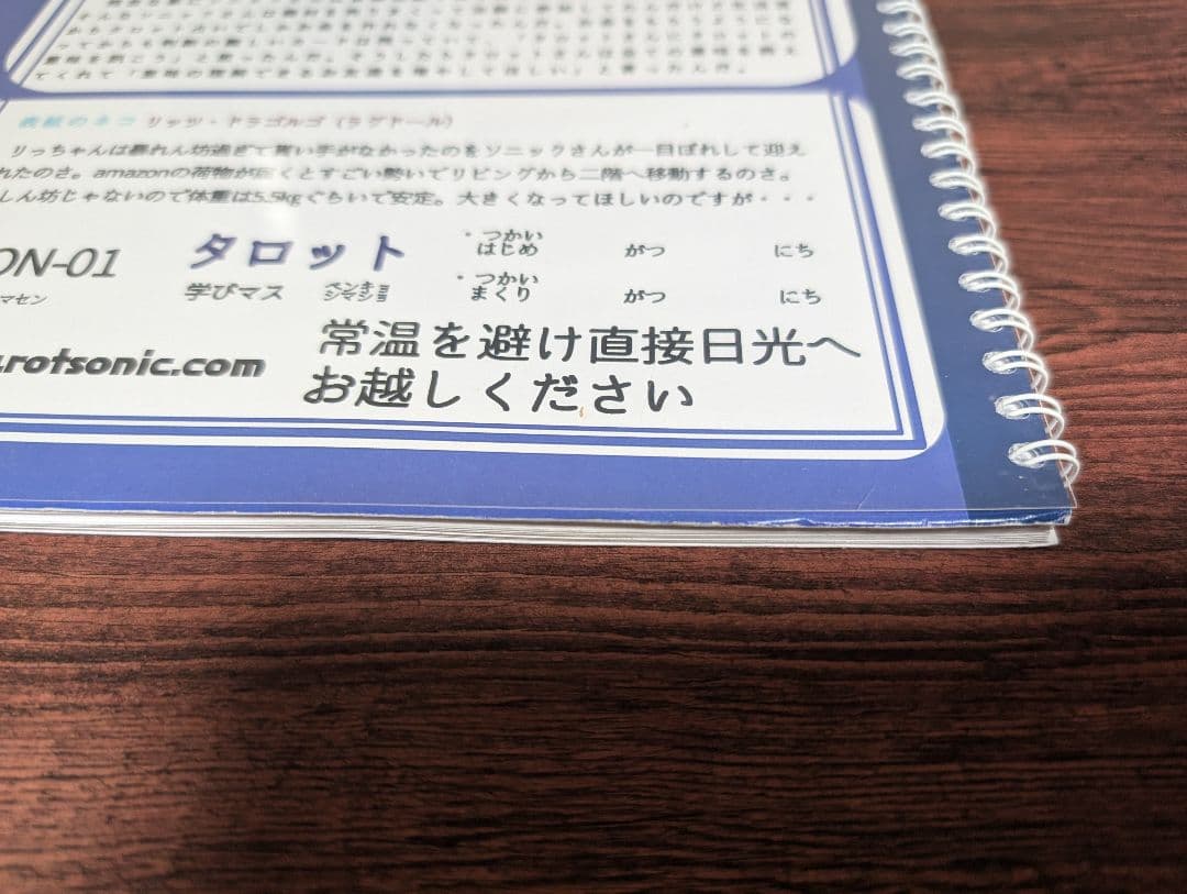 ソニックさん タロット奥義の書（改訂版）