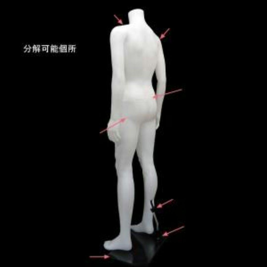 新品 紳士 マネキン メンズ 男性 ヘッドレス 男性 ホワイト 白 全身 軽量