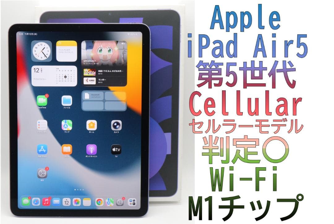 Apple iPad Air5 第5世代Wi-Fi セルラーモデル判定〇説明必読