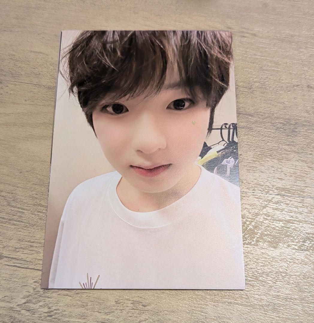 NCT WISH“Songbird” ポストカード サクヤ