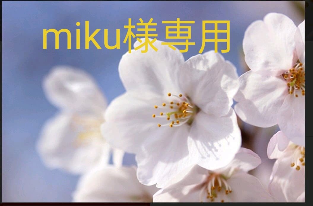 アクセサリー miku