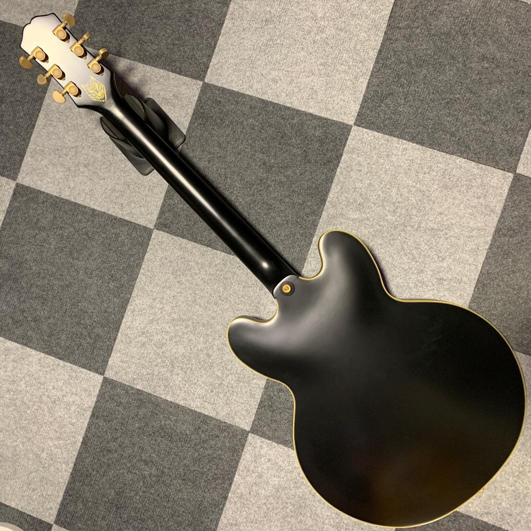 ギター Epiphone Emily Wolfe Sheraton Stealth
