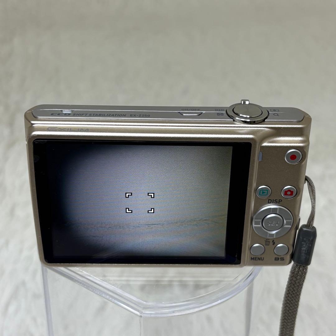 CASIO カメラ　EX-Z250 充電器　説明書　ゴールド　 コンデジ　動作品