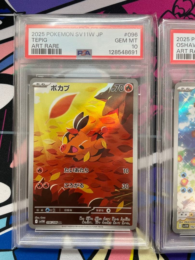 【PSA10連番】ツタージャ　ポカブ　ミジュマル