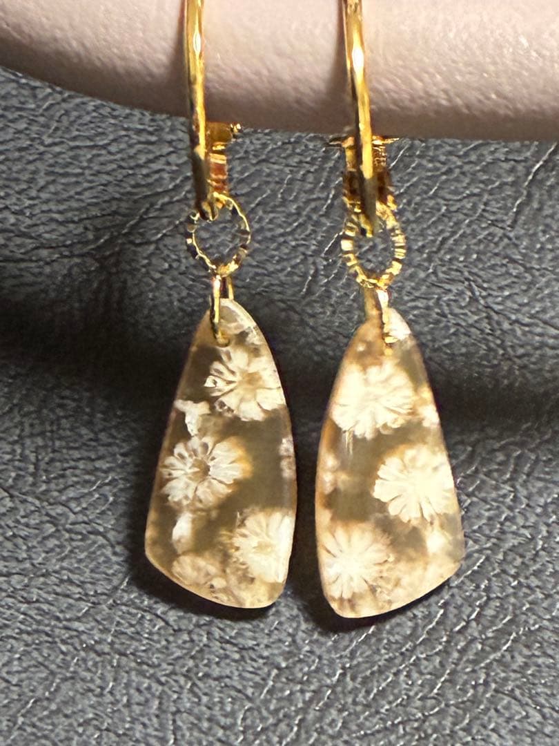 skygray　フォッシルコーラル7点