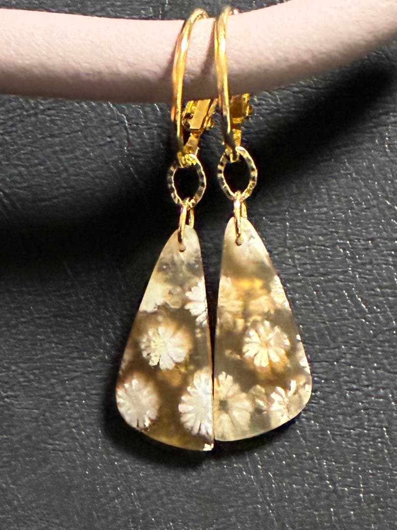 skygray　フォッシルコーラル7点