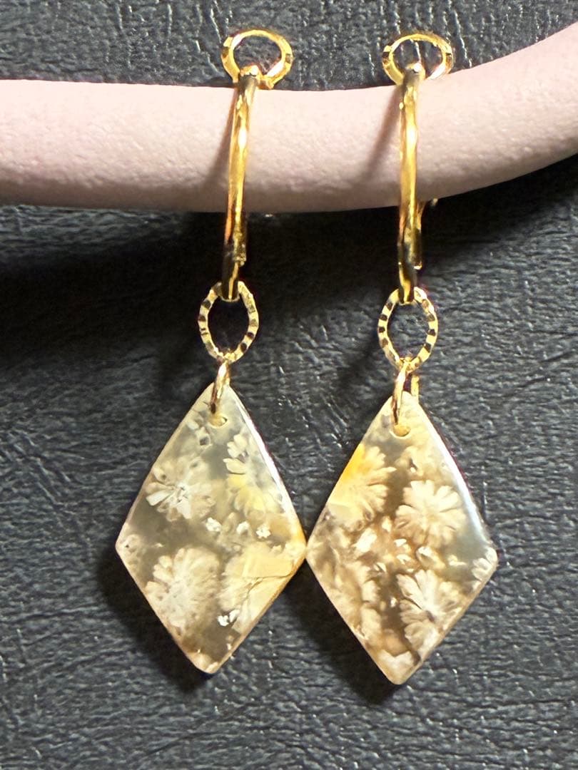 skygray　フォッシルコーラル7点