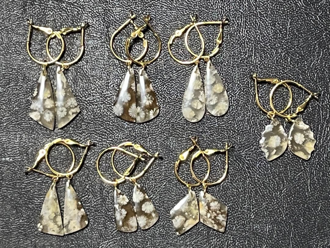 skygray　フォッシルコーラル7点