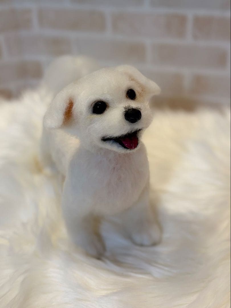 ジ*原様 羊毛フェルト　マルチーズ　momoichigo