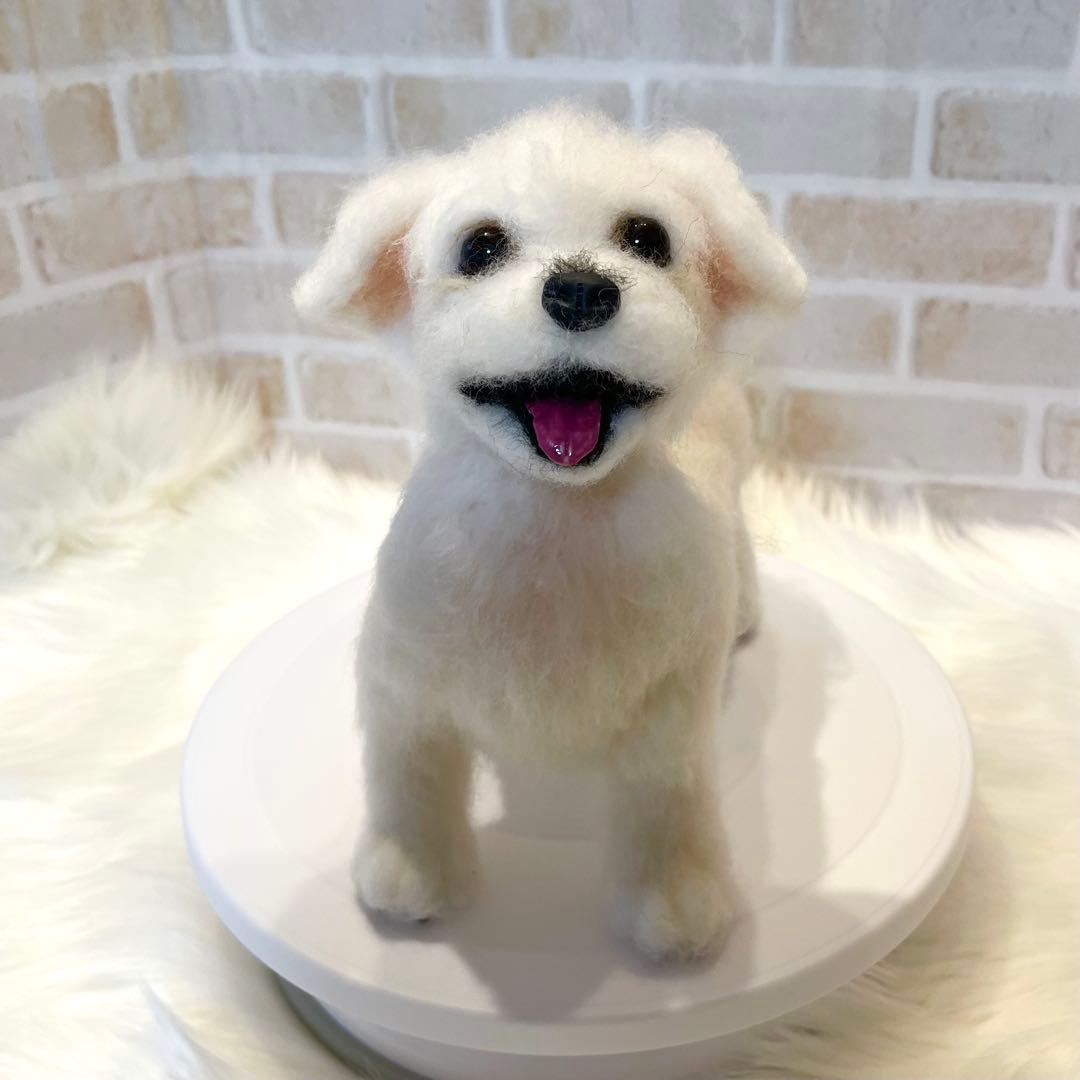 ジ*原様 羊毛フェルト　マルチーズ　momoichigo