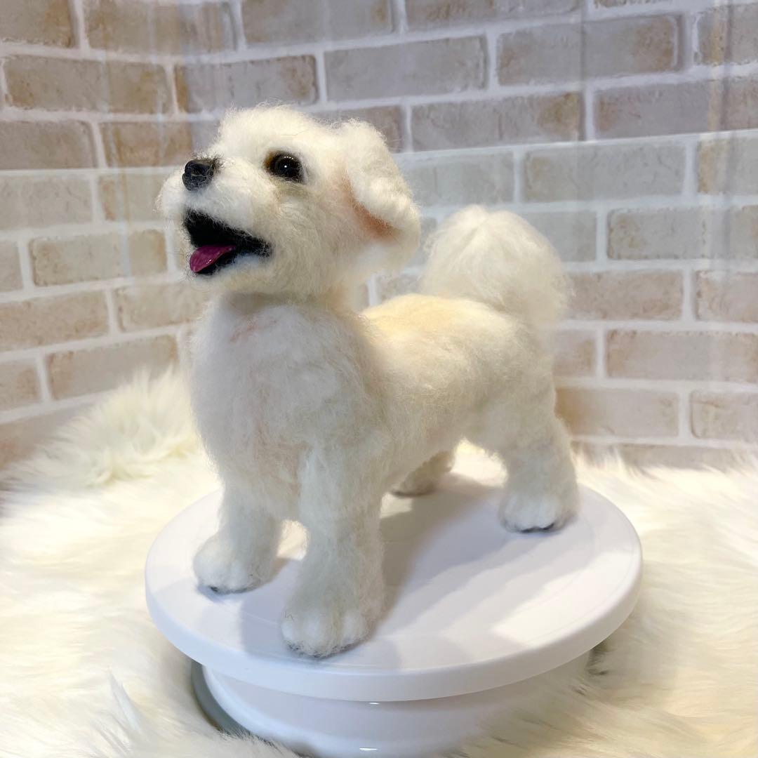 ジ*原様 羊毛フェルト　マルチーズ　momoichigo