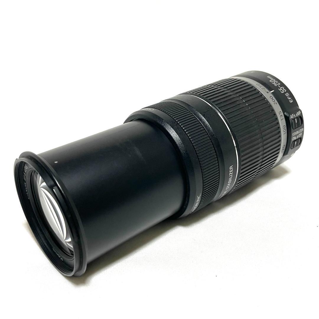 動く被写体を捉える❣️ Canon EF-S 55-250mm 望遠ズームレンズ